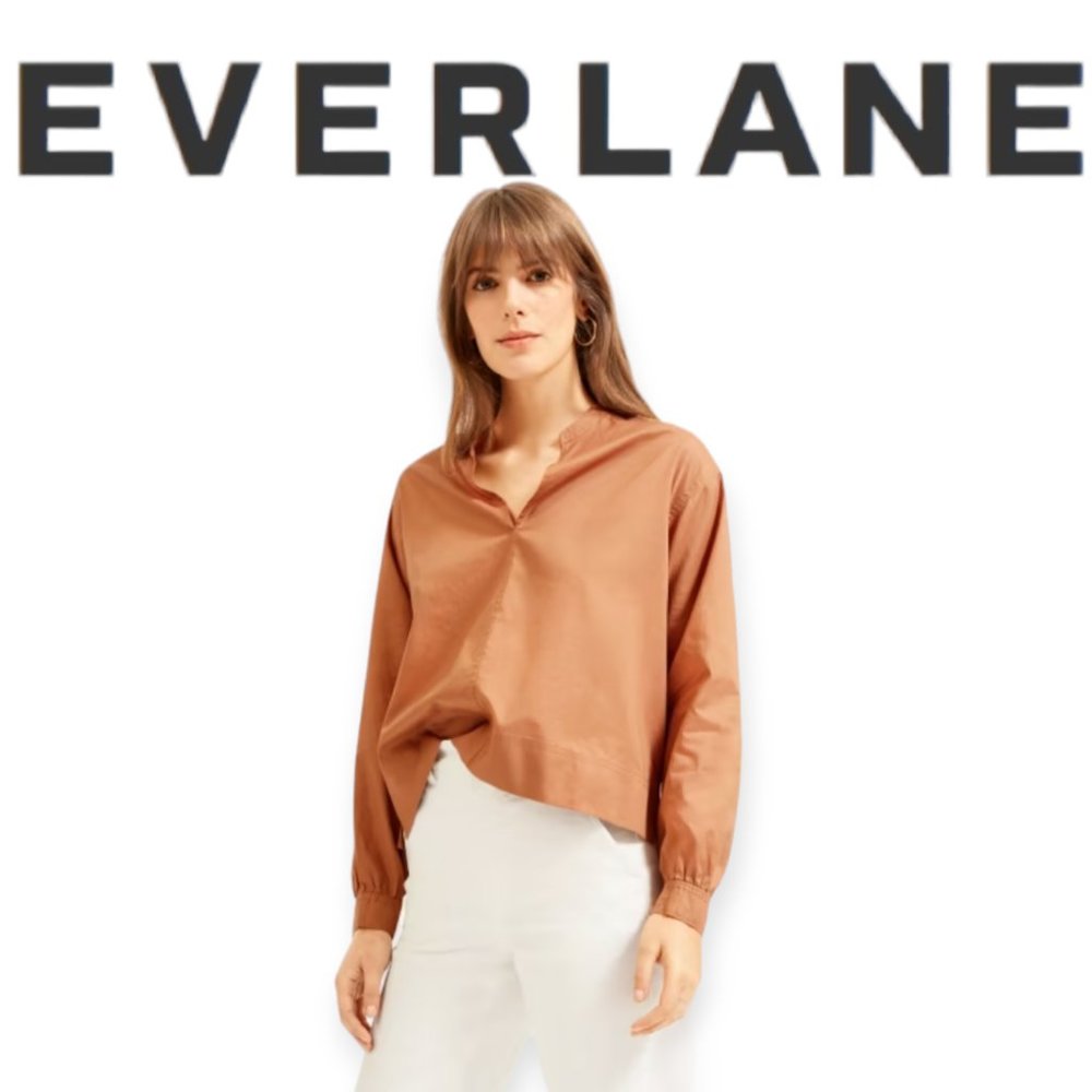 Everlane The Silky Cotton Split-Neck Blouse in 0 | 100% Cotton | Spring | Office